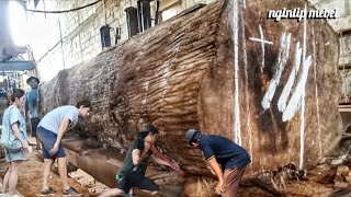 17 Juta Perlembar Harga yang FANTASTIS !! Namun Berakhir Pilu Saat Kayu Jati Besar ini Digergaji.