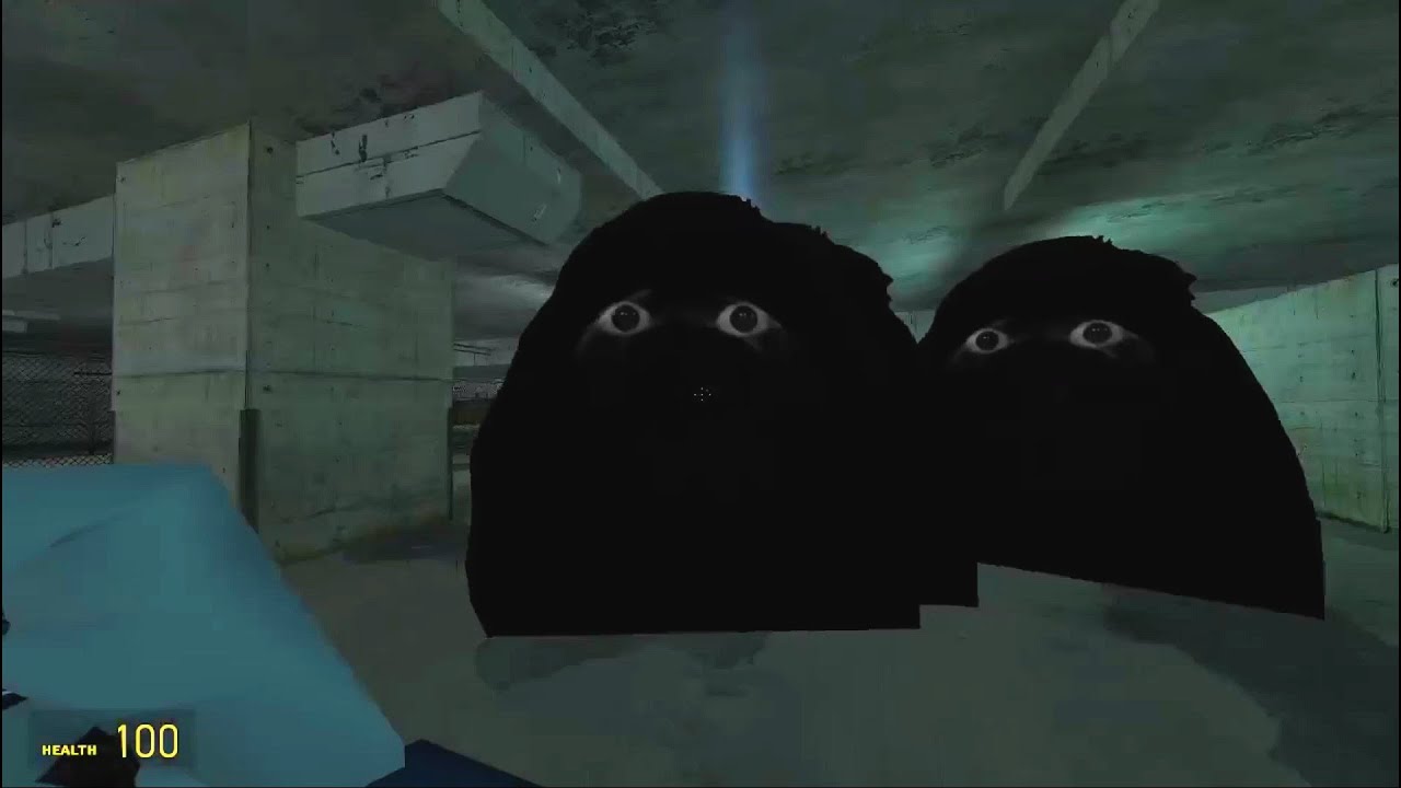 These guy won't leave me alone.... - YouTube