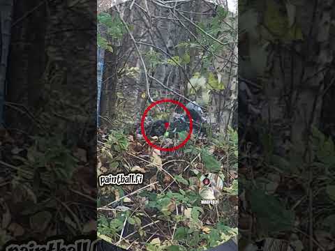 Lucky Hit Via Stick - Slow Motion Paintball - Magfed Paintball #shorts #paintball  #magfedpaintball