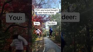 🦌🏃#nara #japan #japantravel #japanvlog #travel #travelog #vindu #beats #sakura