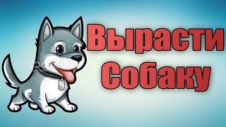 ВЫРАСТИ СОБАКУ ! ВЫРАСТИ СОБАКУ !