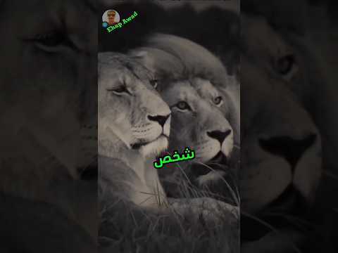 علاقاتي مش تجارة الحب عندي صدق ونقاء خواطر كلام من القلب الحياه خواطر اكسبلور حكم حب 