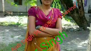 Ajab Singh 9616950374 Pavine