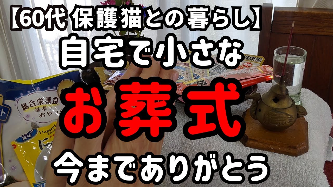 愛猫が亡くなり自宅で小さな葬儀をしました【60代一人暮らし】