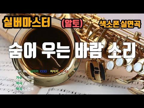 [은성 반주기] 숨어우는바람소리 - 이정옥 노래/ MR / 가사 / 반주