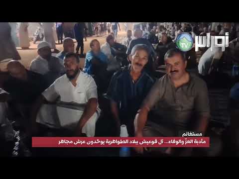 مستغانم مأدبة العز والوفاء آل قوعيش ببلاد الطواهرية يوح دون عرش مجاهر