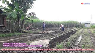 Download Lagu SEMAKIN SAYANG SEMAKIN KEJAM   ICHA KISWARA  !! LAHAN JAGUNG MAU KITA BAJAK KITA KASIH BIAR GEMBUR M MP3