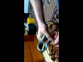 Найкращий метод чистки грецьких горіхів,( част 2)Горіхи на продаж