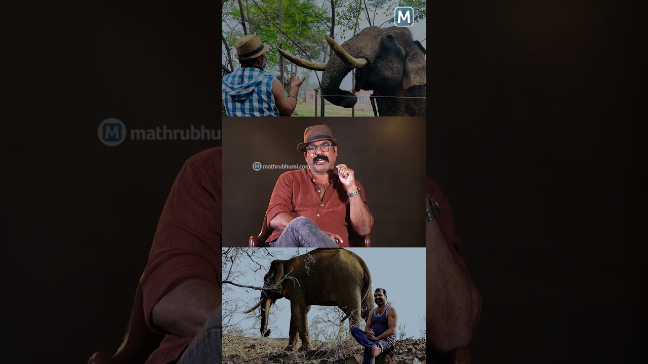 മസിനഗുഡിയുടെ പ്രിയങ്കരനായ കൊമ്പന്‍, എന്ന കാട്ടാനയുമായുള്ള സൗഹൃദത്തിന്റെ അതി വൈകാരികമായ ഒരു കഥ