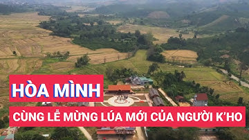 Về làng truyền thống người K’Ho, hòa mình cùng lễ Mừng lúa mới