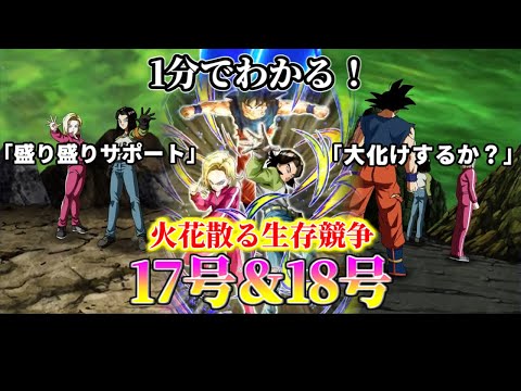 【ドッカンバトル】1分で分かる 17号＆18号(第7宇宙代表)【比較】