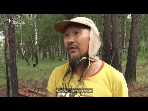 შამანი, რომელსაც „პუტინი უნდა განედევნა“, ნიღბიანებმა გაიტაცეს