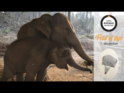 1. december: Fold en elefant