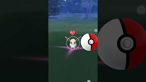 Catching shiny eevee from special research 😁😁😁