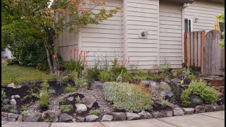 How to Build a Rain Garden | Urban Conservation