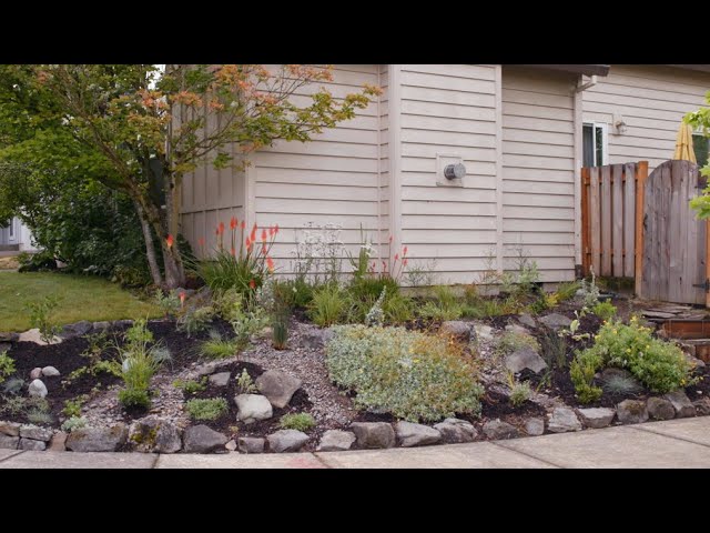 Build a Rain Garden ☔️🌊❄️ Step by Step Instructions that Makes it Easy 