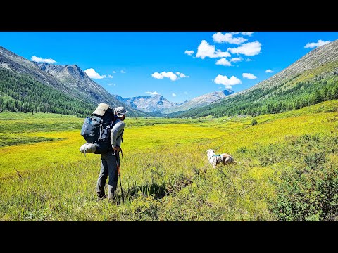 видео: 16 дней в горах Алтая | Полный документальный фильм
