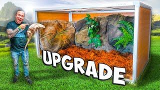 Albino Tegu Lizard Gets Huge Cage Upgrade!