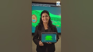 The future of classrooms is AI-powered!