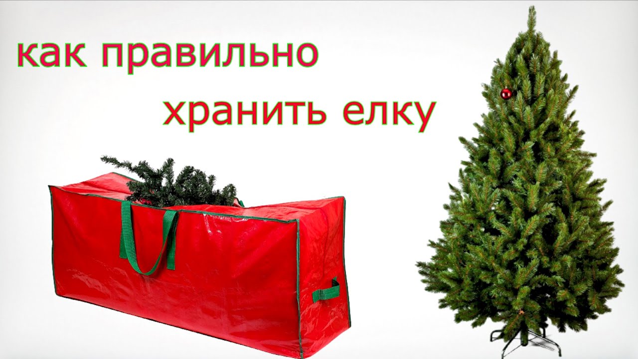 Как правильно убрать новогоднюю елку - KP.RU