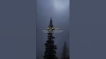 تلاوه خاشعه عبدالله الموسى