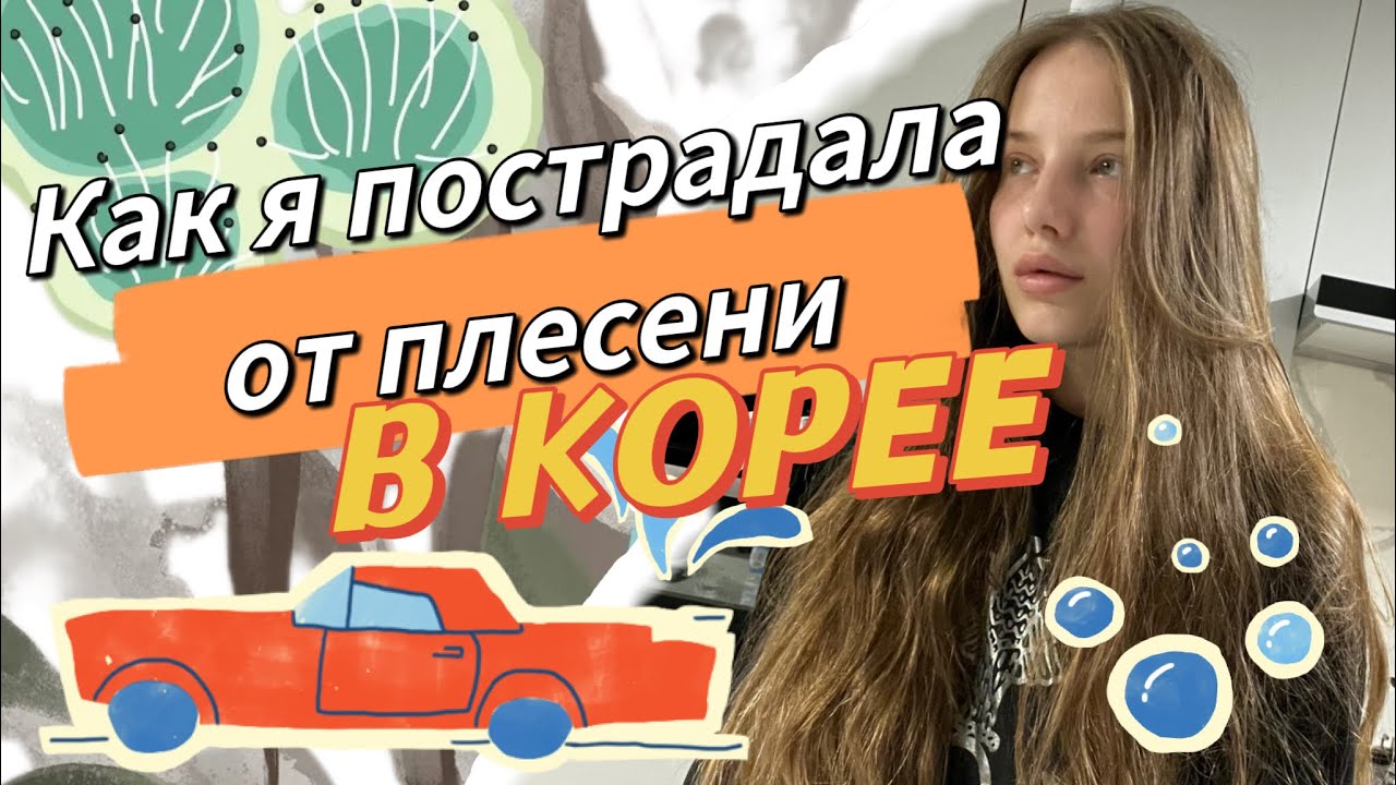 Катя корея влоги