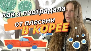 Плесень атаковала мою машину/сезон дождей в Корее/минусы жизни в Корее/KOREA VLOG