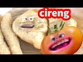 ADA CIRENG - Tomat Lebay