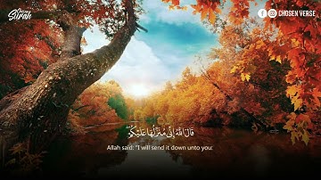 Surah Al Maidah   سورة المائدة بصوت دافئ وهادئ للقارئ عمر بن عبدالعزيز