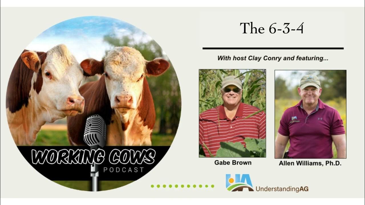 BONUS Ep 283 Gabe Brown and Dr Allen Williams The 6 3 4 Made by
