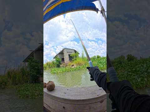 Câu sông dùng thẻo gì?? #vyhanfishing #caucatunhien
