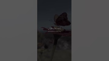القارئ عبدالرحمن مسعد #سورة_الفرقان