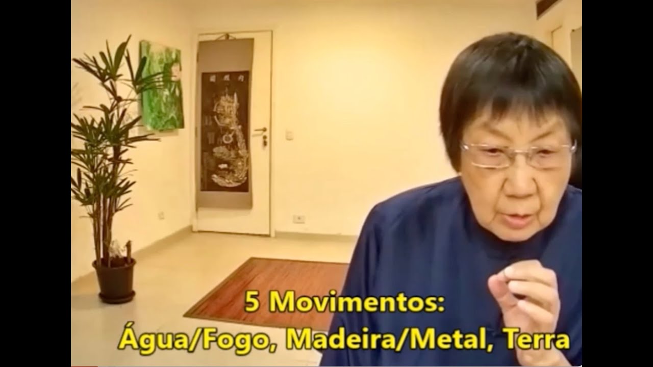 Os 5 Movimentos - Água Fogo Madeira Metal Terra 