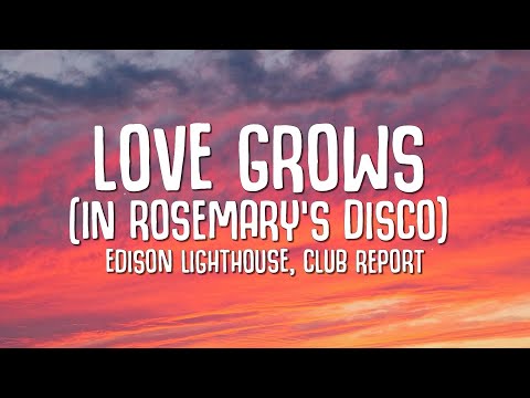 Edison Lighthouse, Club Report - Love Grows In Rosemary's Disco (Lyrics)