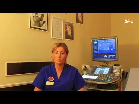 ექოსკოპია - ორსულის მეოთხე ვიზიტი