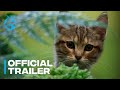 A cats life  official greenband trailer