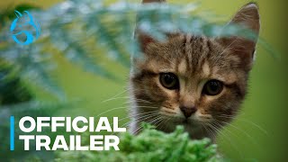 A Cats Life | Official Greenband Trailer