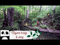 Продолжаем искать сокровища в лесу. We continue to look for treasures in the forest.