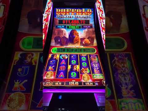 contigo en la distancia- Casino del Rio -Viedma
