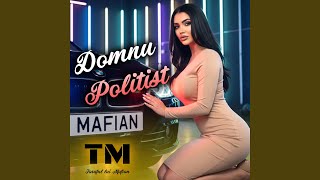 Domnu Politist