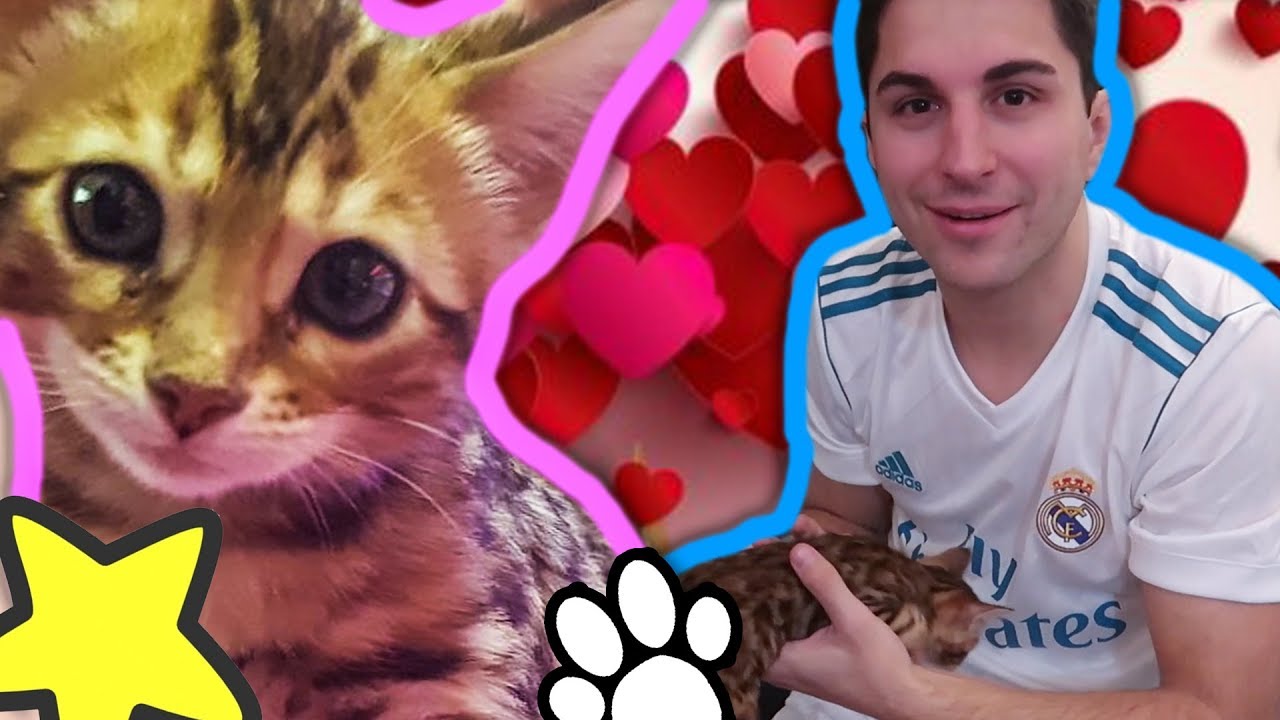 Regalo Un Gattino Al Mio Fidanzato Youtube