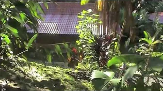 Esquinas Lodge, Costa Rica: Cabins