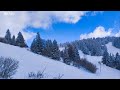 Montagne blanche  snow landscape