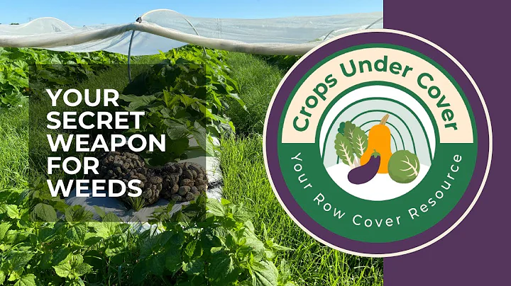 Living Mulches Are Your Secret Weapon for Weed Control