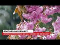 Erster Wettertrend: So kalt werden die Eisheiligen | krone.tv NEWS