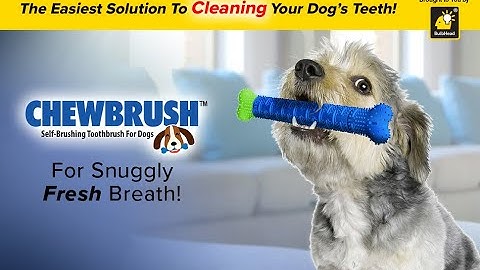 THE CHEWBRUSH THE ULTIMATE DOG TOOTHBRUSH?