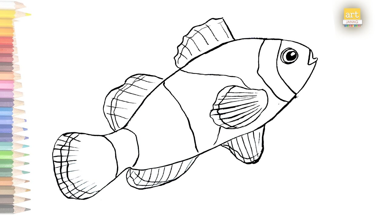 Clown Fish Drawing Outline Maxresdefault
