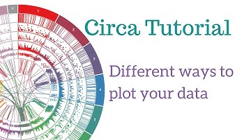 Circa Tutorial: Different ways to plot your data (old version of Circa)