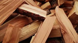 Historia De La Madera (El Material Sostenible del Futuro) - HDP Historia De La Madera (El Material Sostenible del Futuro) - HDP