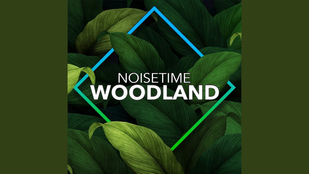 Woodland - YouTube